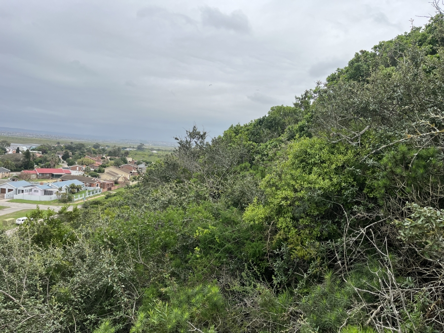 0 Bedroom Property for Sale in Amsterdamhoek Eastern Cape